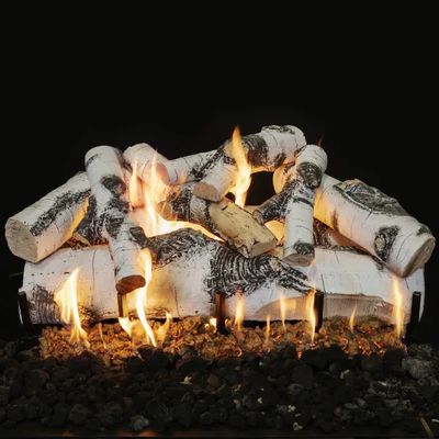 Grand Canyon: Quaking Aspen See-Through Gas Log Set 48in