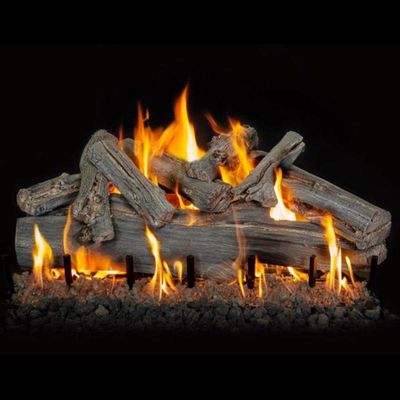 Grand Canyon: Western Driftwood See-Through Gas Log Set 18in