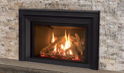 Enviro: EX32 Insert