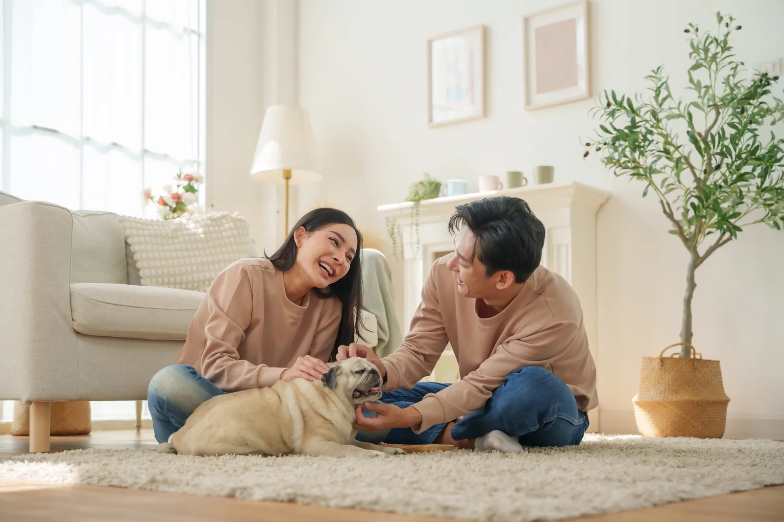 Furnaces maintenance by Falco's